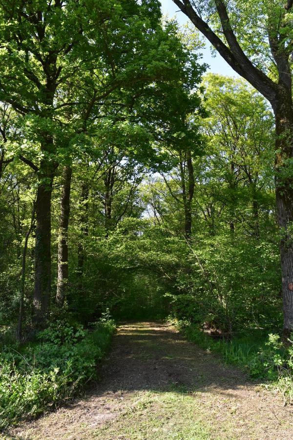 Jachthuis Au Bois Du Gheer Esterno foto